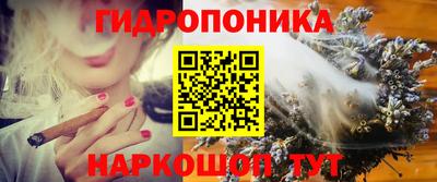 молекула духа Краснодар