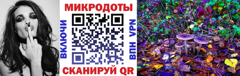 Псилоцибиновые грибы мицелий  закладки  Новоалтайск 